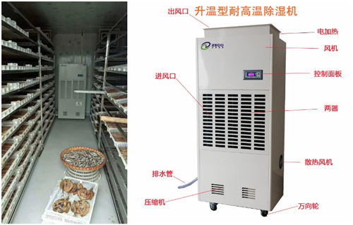 房屋受潮修复机与家用除湿机 你真的选对了吗？